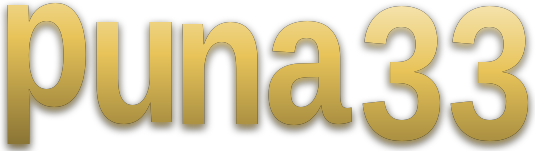 puna33 logo